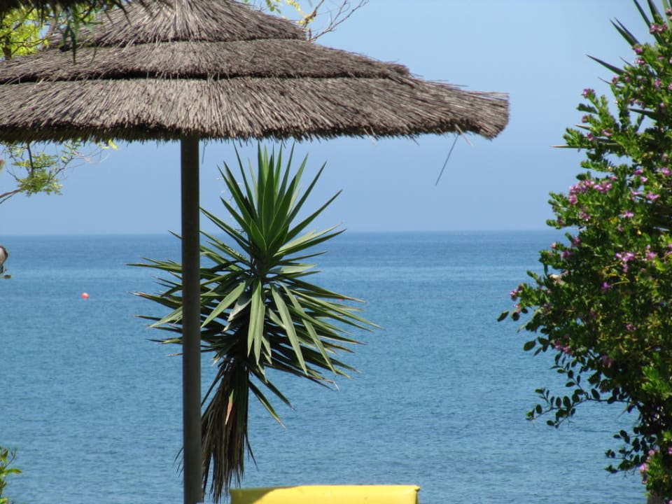 Das Meer Apartments Mespilo House - Cyprus Village