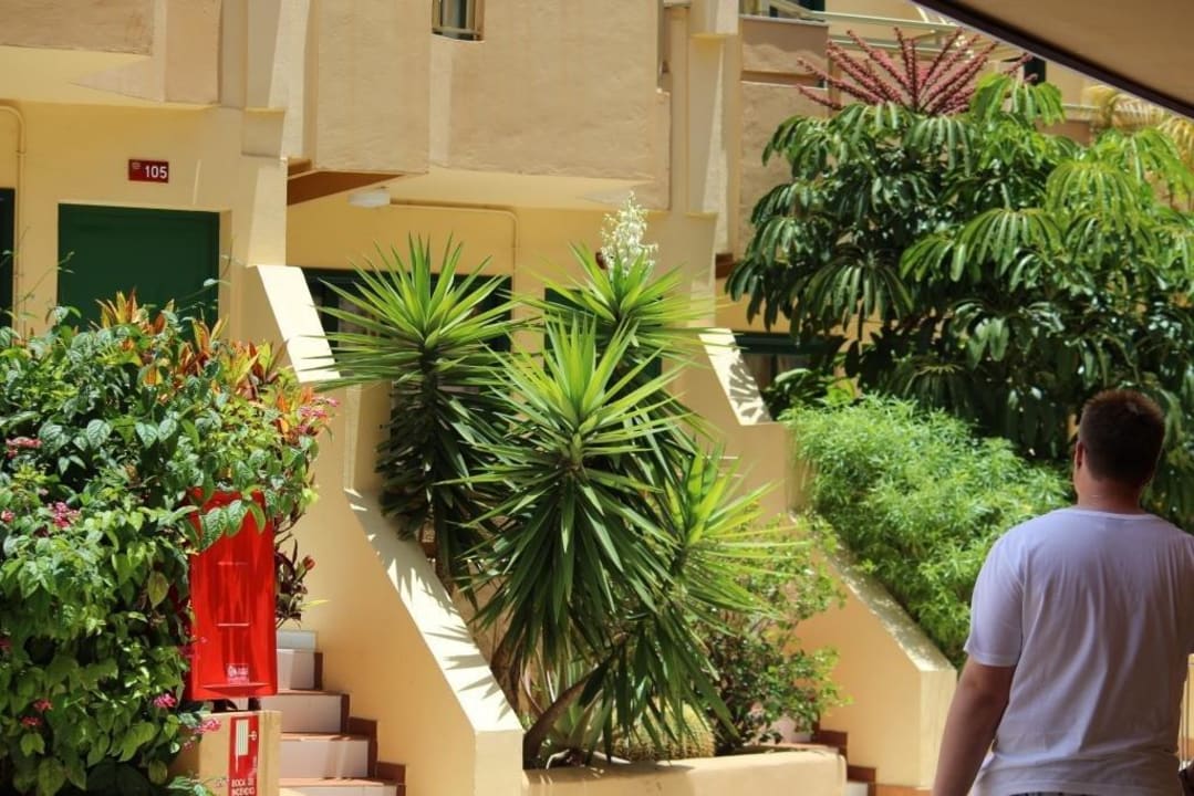 Im Hofbereich Playa Olid Suites & Apartments