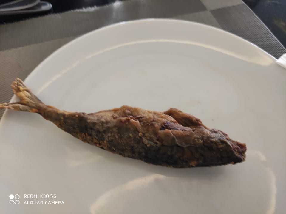 Gastro Pickalbatros Aqua Vista Resort - Hurghada