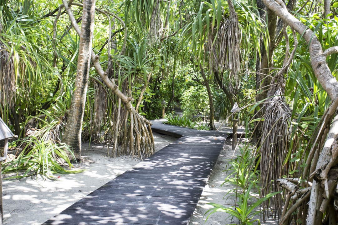 Wege Gangehi Island Resort