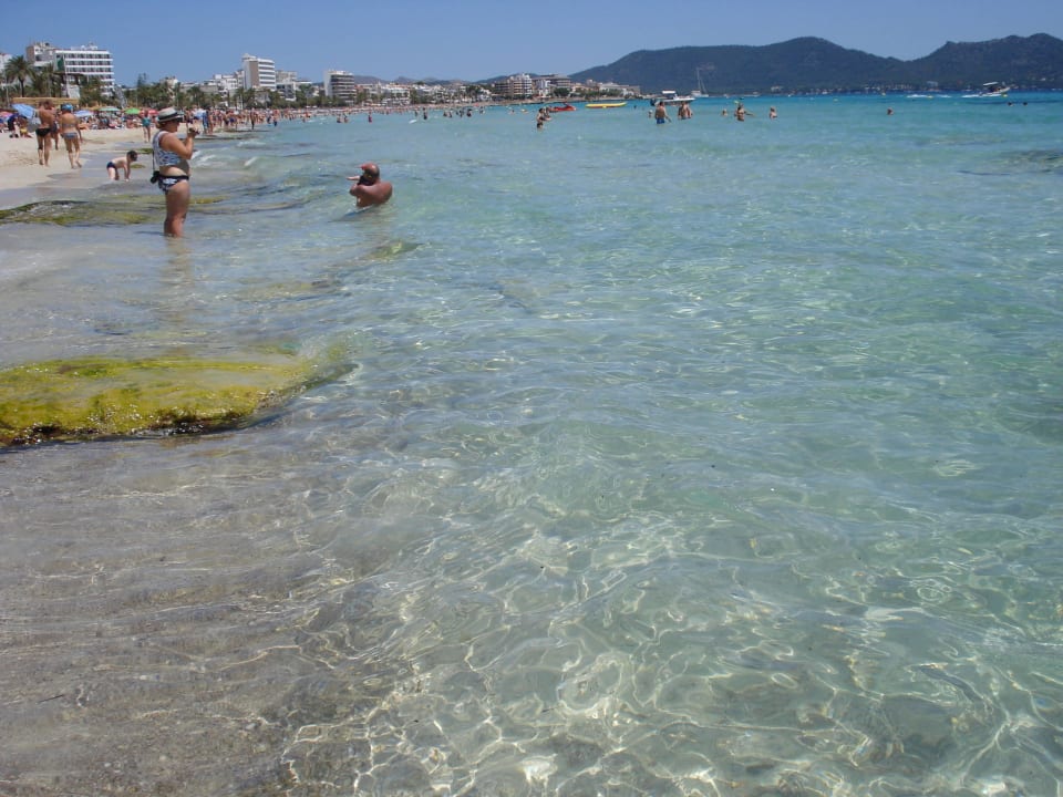 Glasklar Hipotels Flamenco