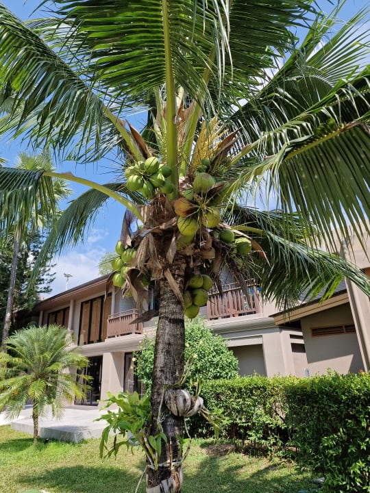 Außenansicht La Flora Khao Lak