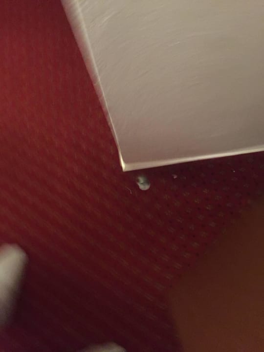 Hier auch beschädigt Hotel Vile Park