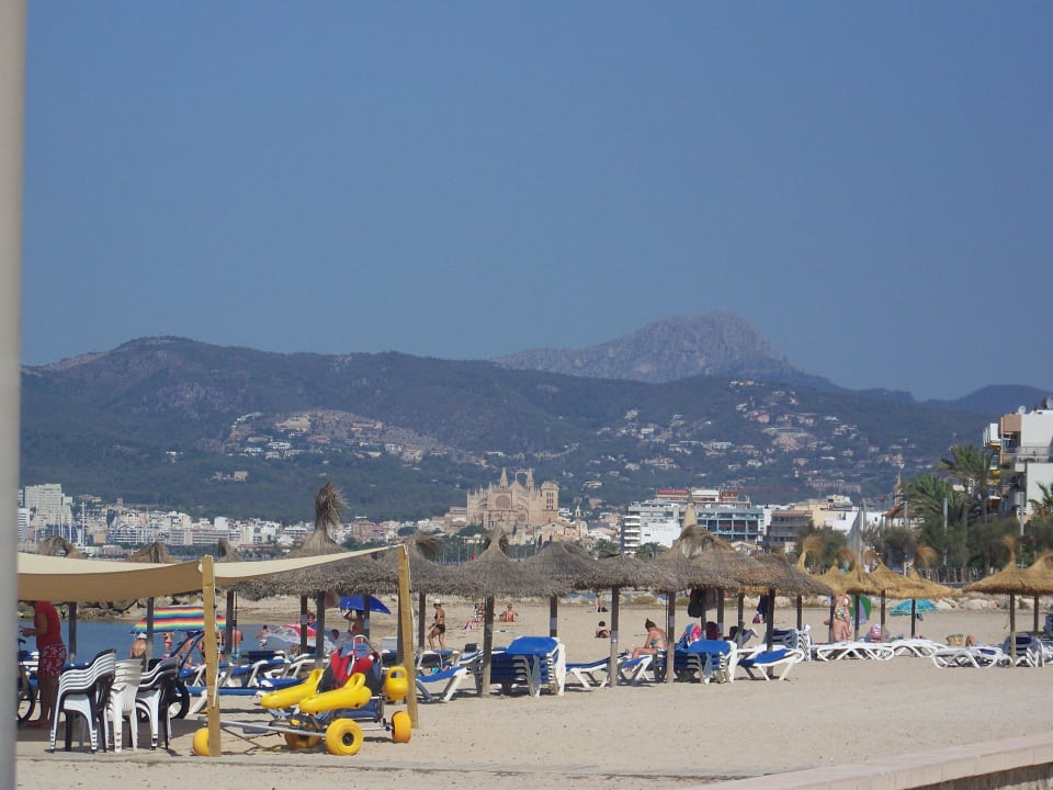 Cadetrale im Hindergrund HM Tropical