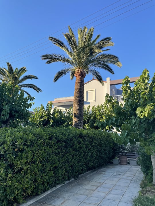 Gartenanlage Harmony Boutique Resort