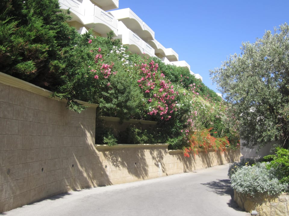 Eine der vielen Wege Hotel Kalithea Mare Palace