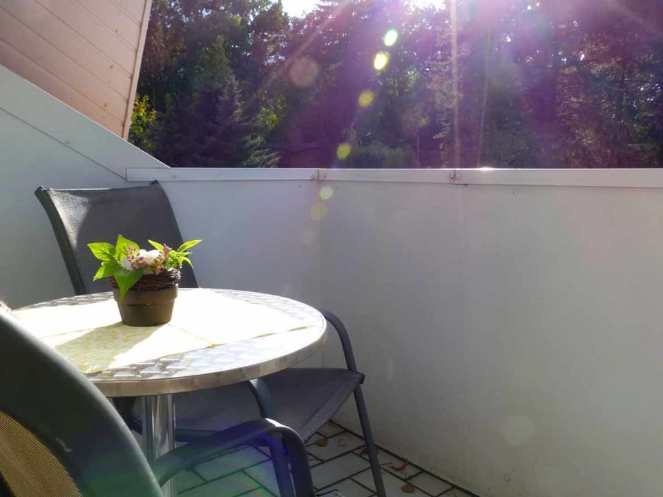 Zimmer Reiterhof Ferienhof Lünzen