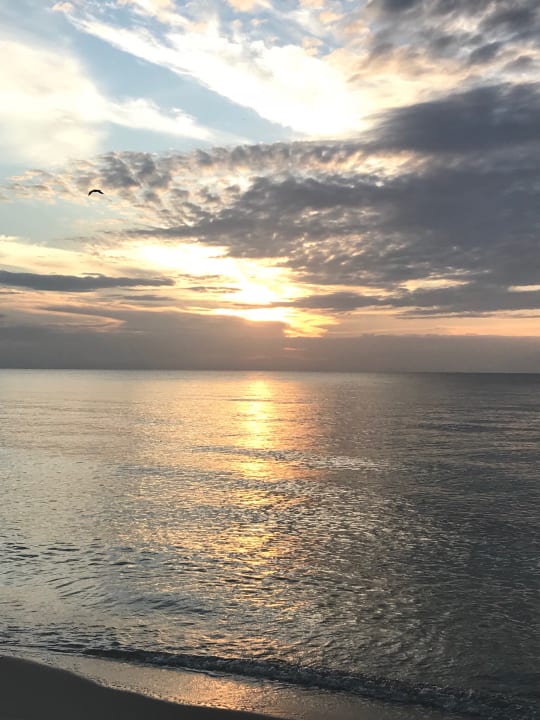 Sonnenaufgang Hotel Riu Plaza Miami Beach