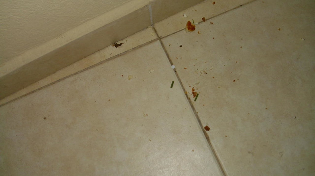 Balkon Hotel Orfeus Park