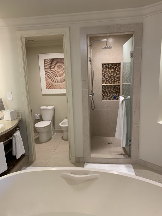 Zimmer Atlantis, The Palm