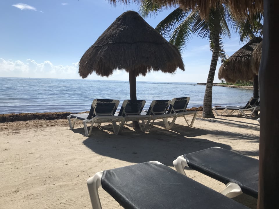 Strand Grand Palladium Select White Sand Resort & Spa