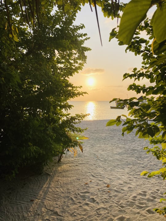 Ausblick Summer Island Maldives