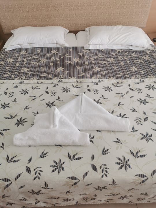 Zimmer Albatros Spa & Resort Hotel