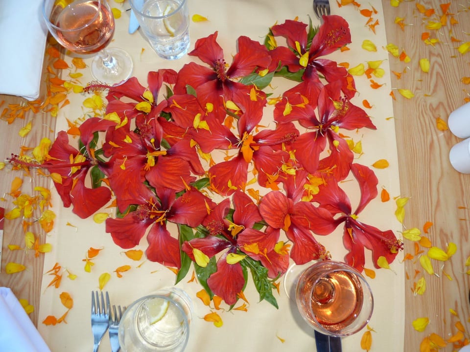 Abschied Hotel Defne Garden