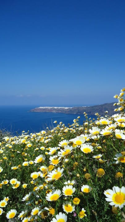 Impressionen Honeymoon Petra Villas
