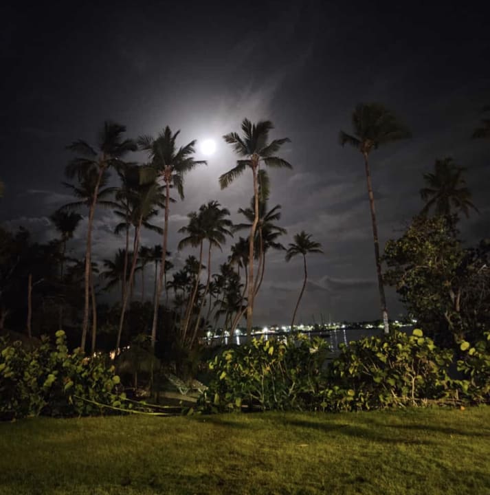 Gartenanlage Secrets La Romana Resort & Spa - Adult Only