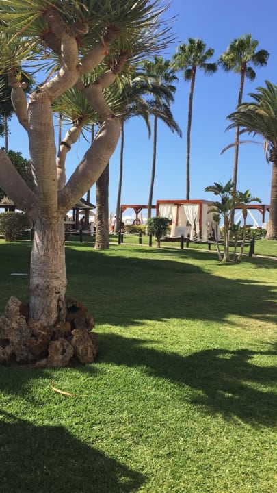 Gartenanlage Iberostar Waves Bouganville Playa