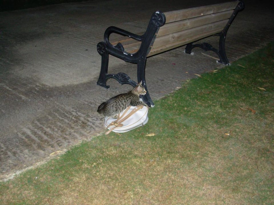 Nice place for a rest Voyage Belek Golf & Spa