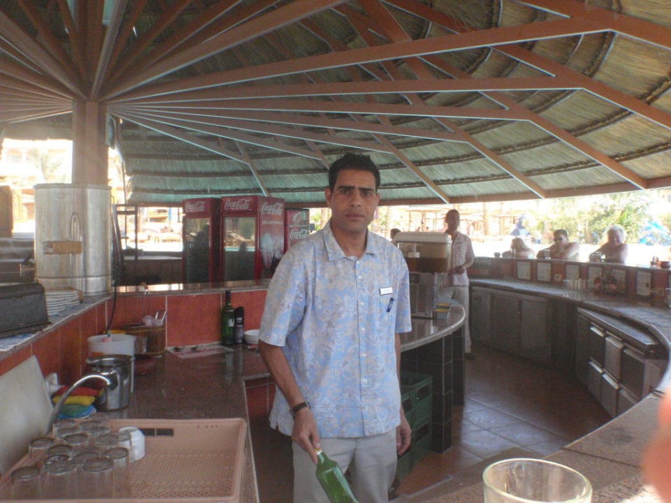 Schwimmbar Pickalbatros Palace Resort