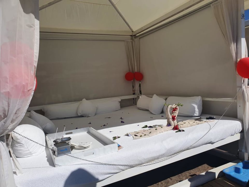 Strand Royal Wings Hotel