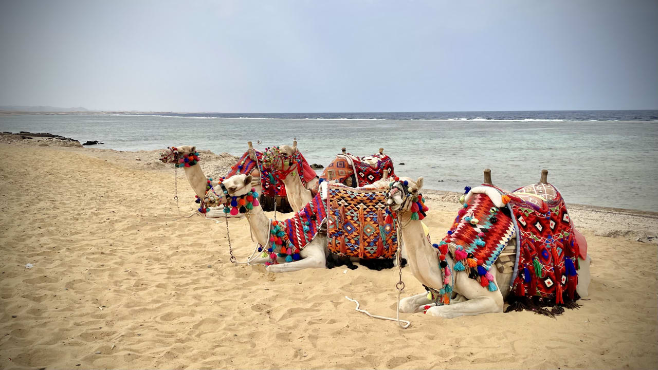 Strand Lazuli Hotel Marsa Alam