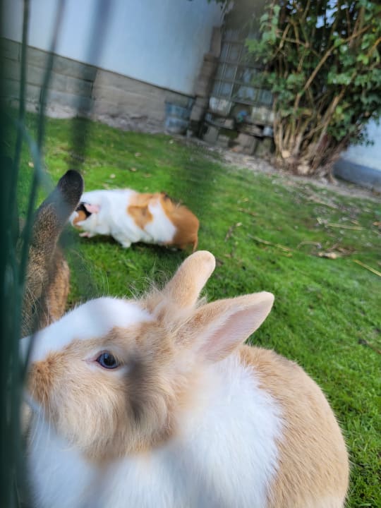 Sonstiges Wiesenberghof