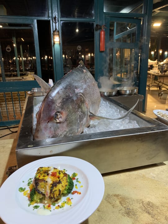 Gastro Club Paradisio El Gouna, Red Sea