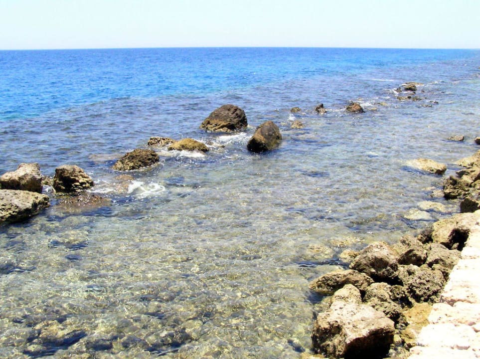 Небольшая "полоса препятствий"  Pickalbatros Citadel Resort