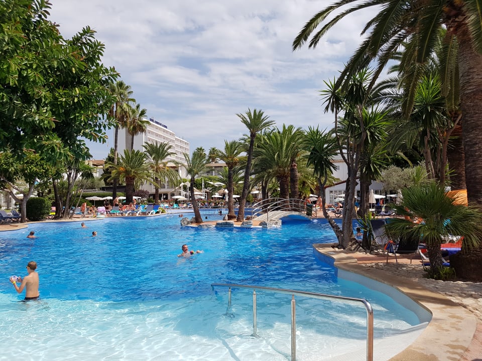 Pool Alcudia Garden Aparthotel
