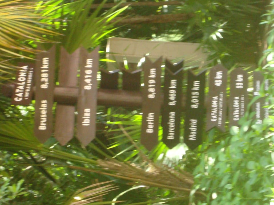 Hotel Catalonia Playa Maroma Catalonia Playa Maroma