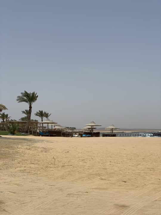 Strand Steigenberger Resort Alaya Marsa Alam - Red Sea - Adults only