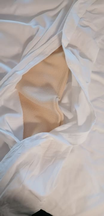 Zimmer Hotel Riu Vistamar