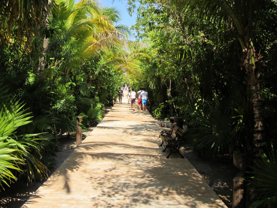 Weg von Lobby zum Pool Catalonia Playa Maroma