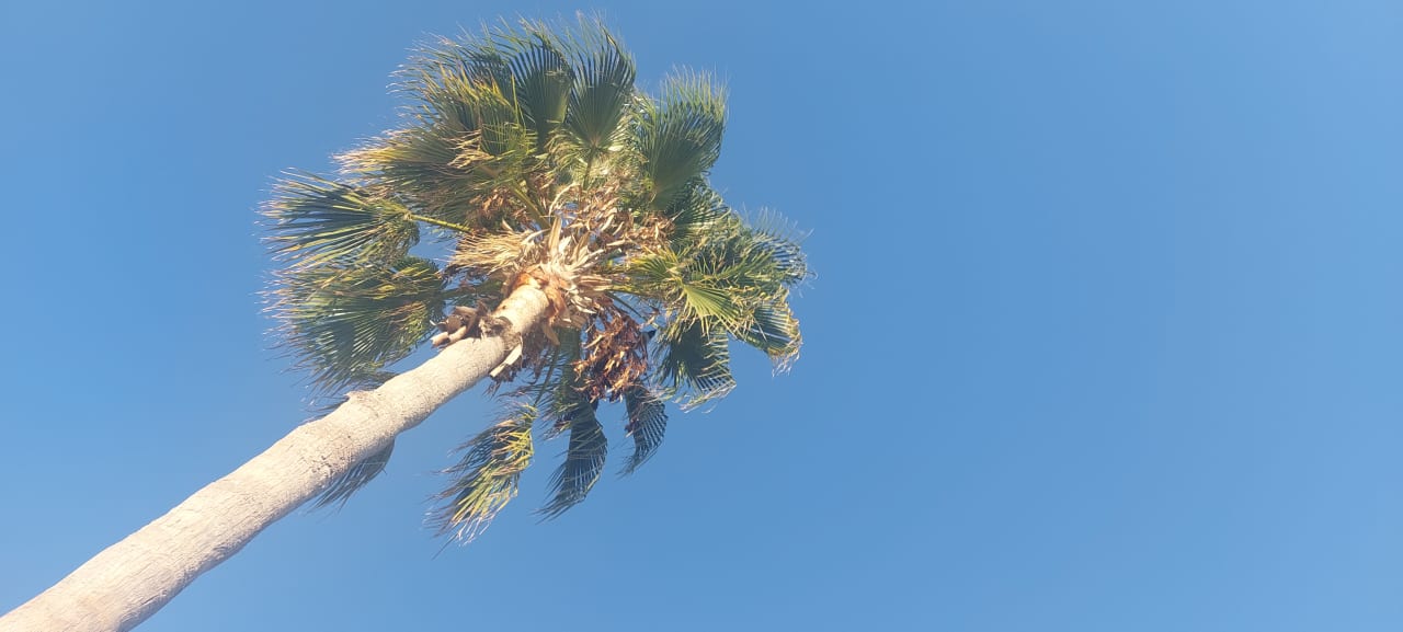 Ausblick Mira Meridia Beach Hotel