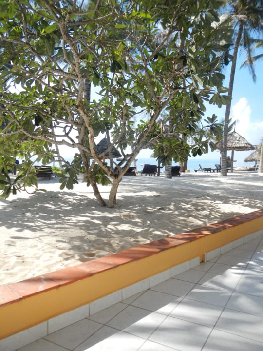 Blick von der Terrasse Turtle Bay Beach Club