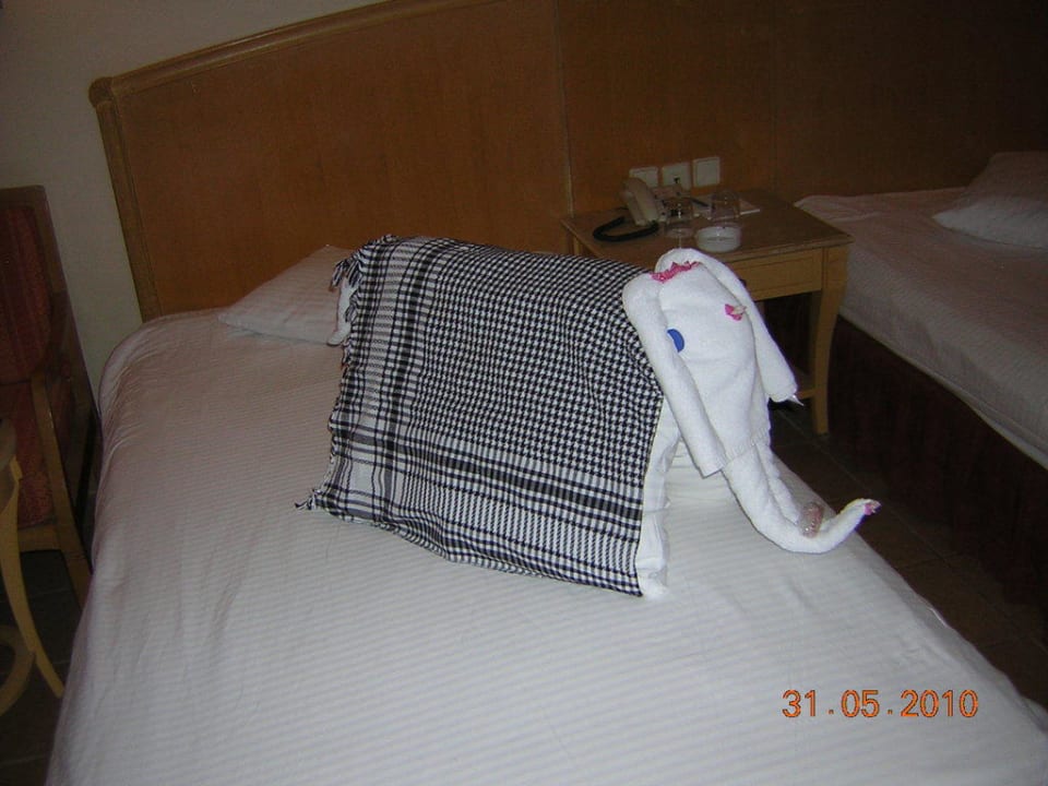 Каждый день, что то новое Concorde El Salam Hotel Sharm el Sheikh by Royal Tulip