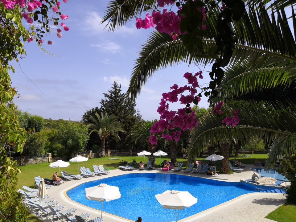 Pool Ekaterini Hotel