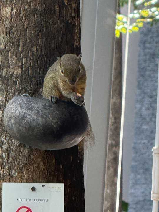 Sonstiges Courtyard by Marriott Bali Nusa Dua