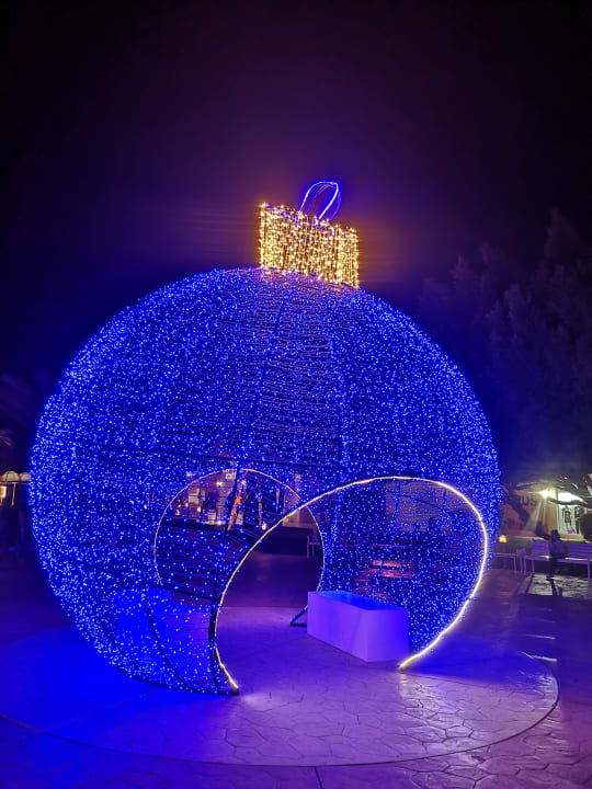 Außenansicht Desert Rose