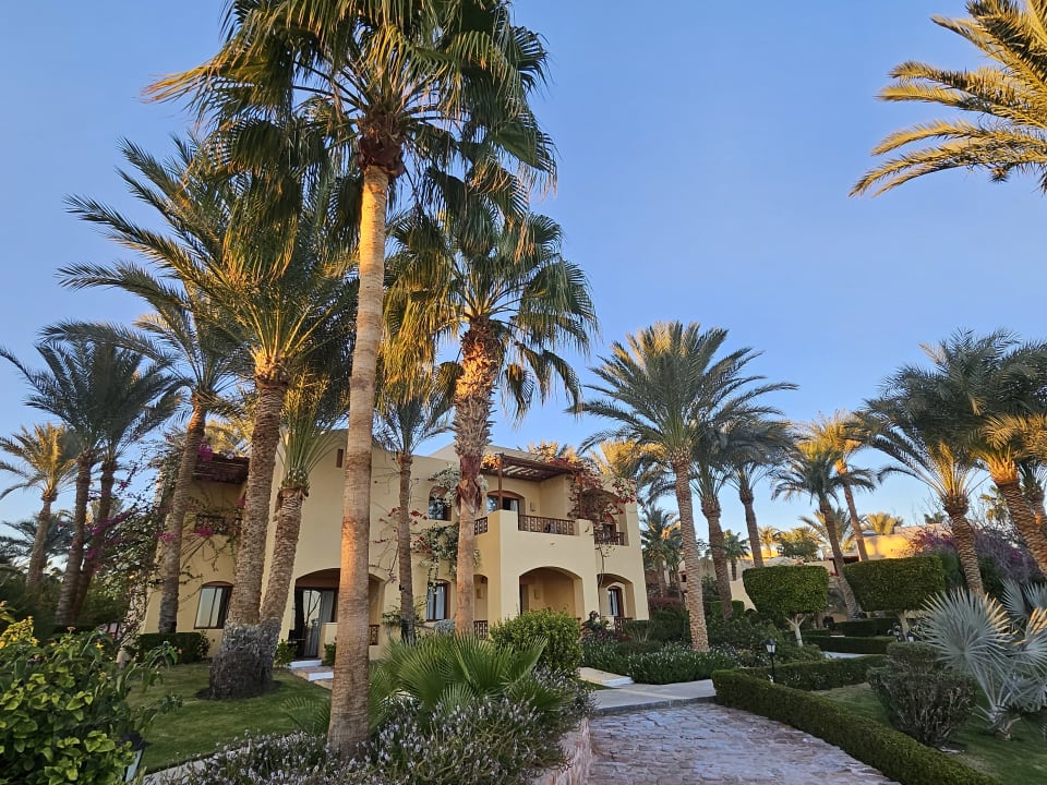 Gartenanlage Steigenberger Coraya Beach - Adults only