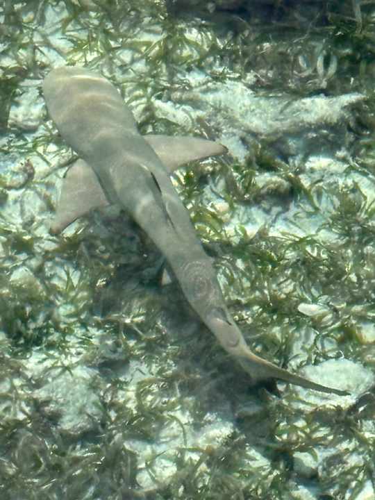 Sonstiges Jawakara Islands Maldives
