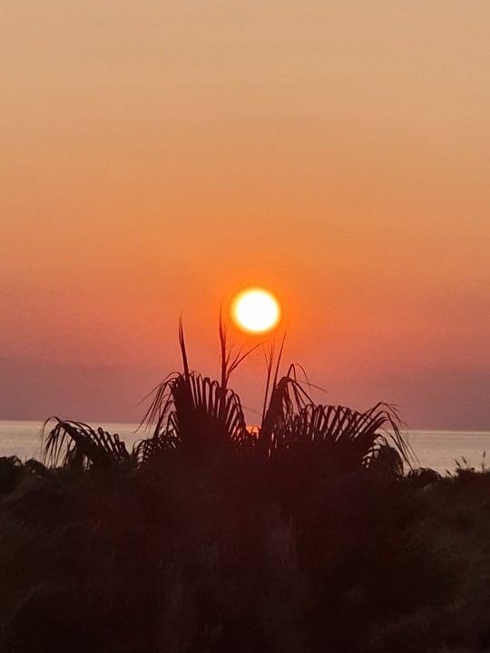 Zimmer Seaden Sea World Resort & Spa