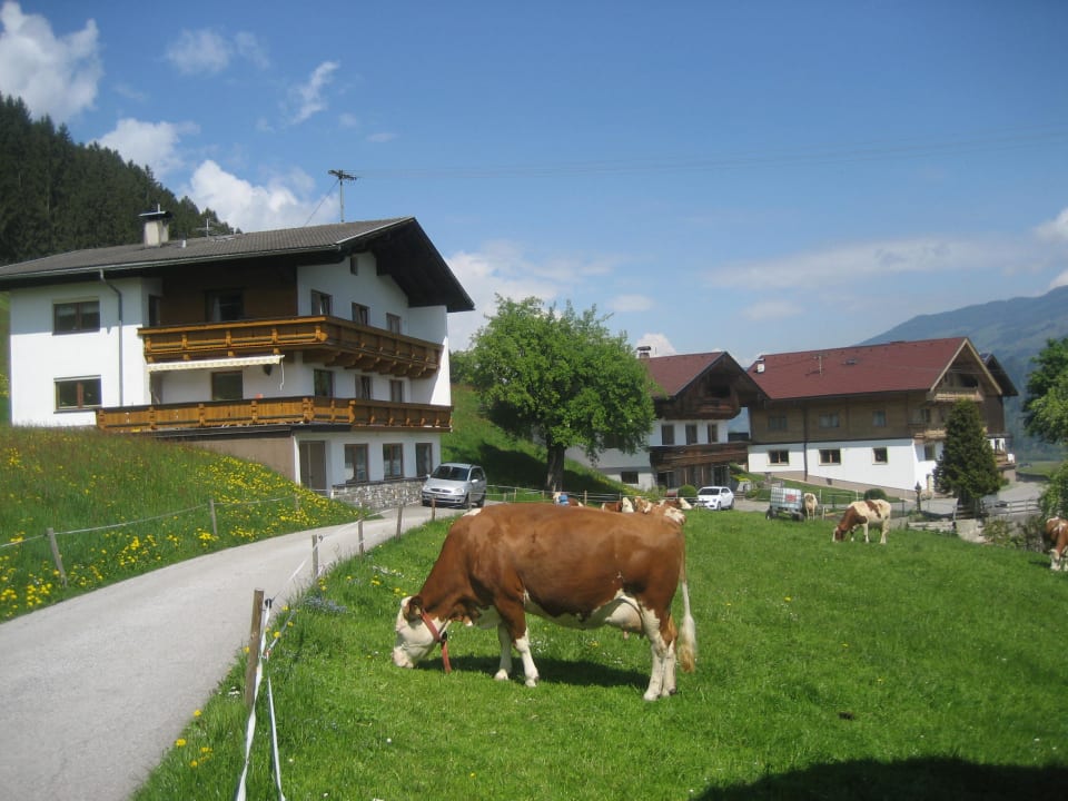 Außenansicht Bahlerhof