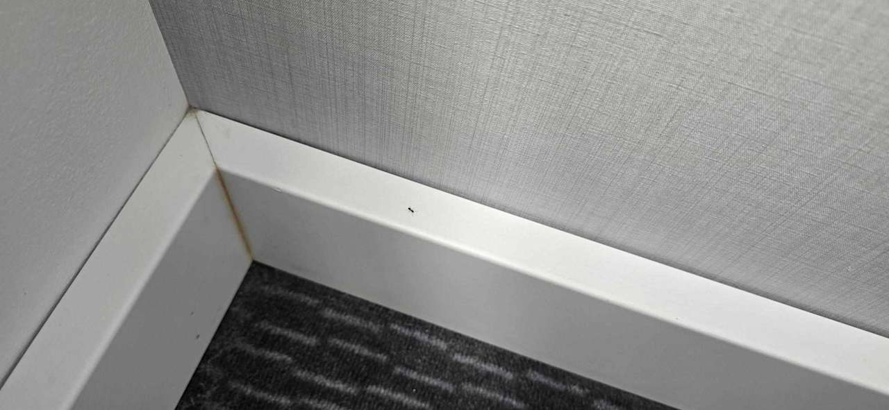 Zimmer Holiday Inn Express Berlin City Center