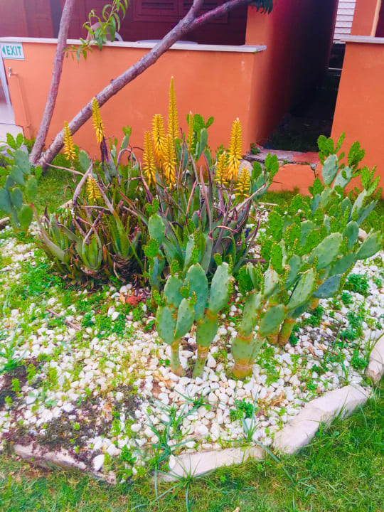 Gartenanlage Özlem Garden Hotel