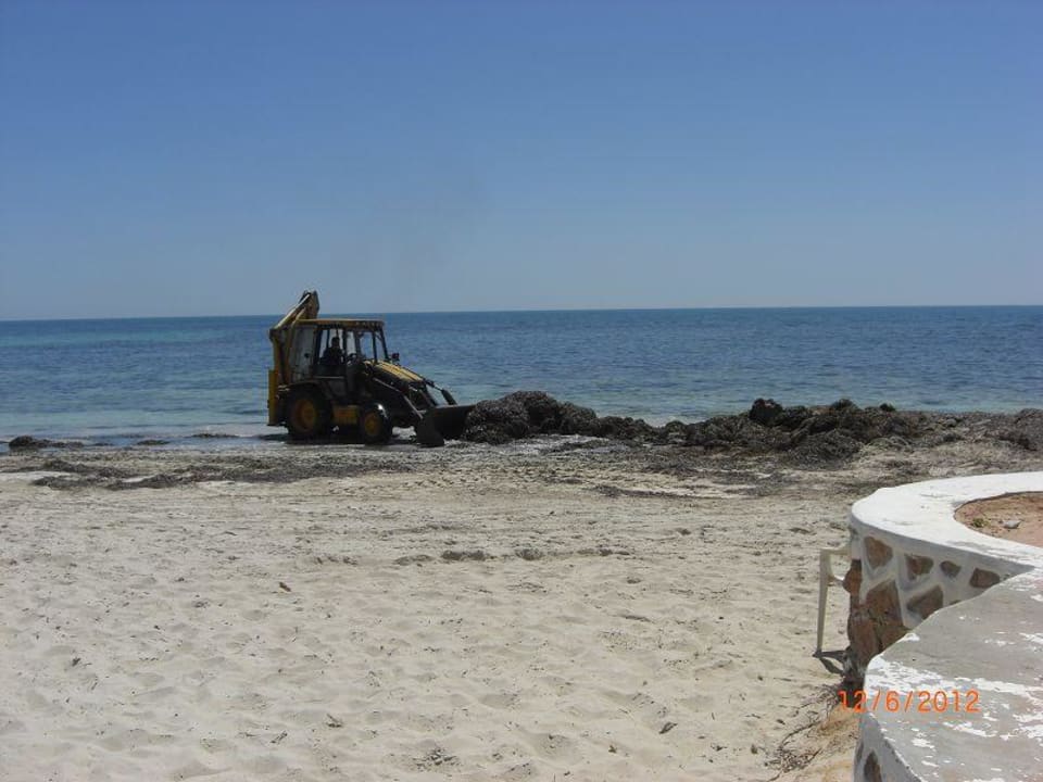 Strand Hotel El Mouradi Djerba Menzel