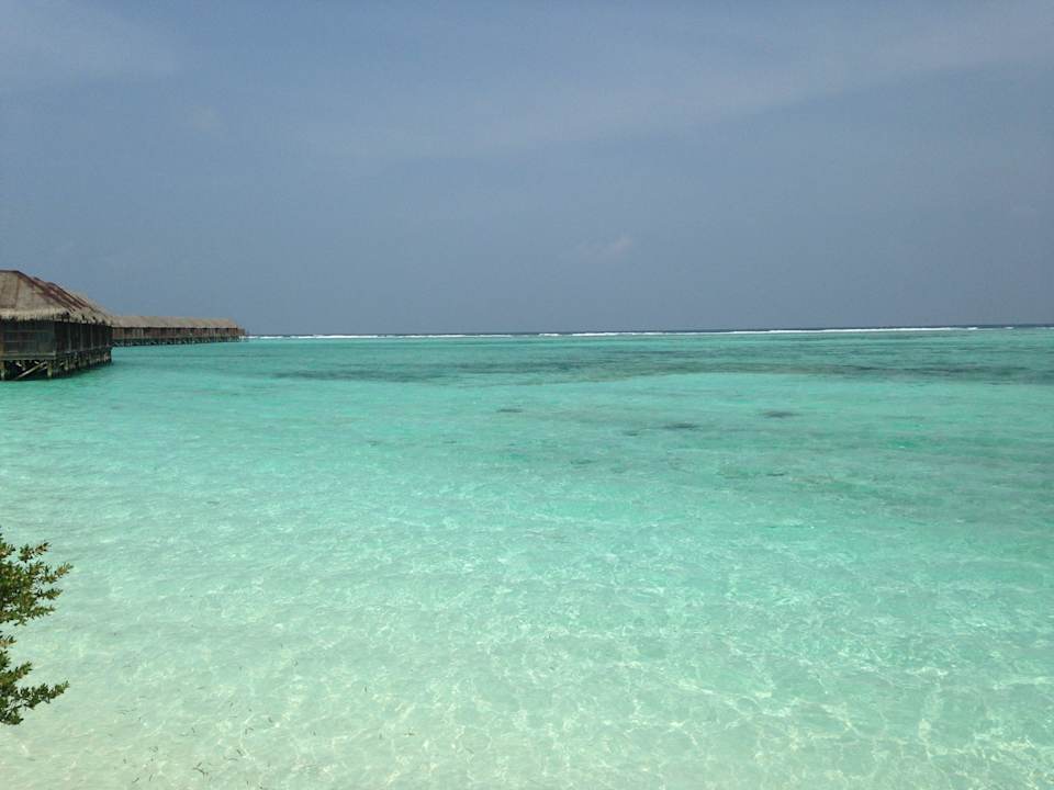 Rundherum traumhaftes Wasser Meeru Maldives Resort Island