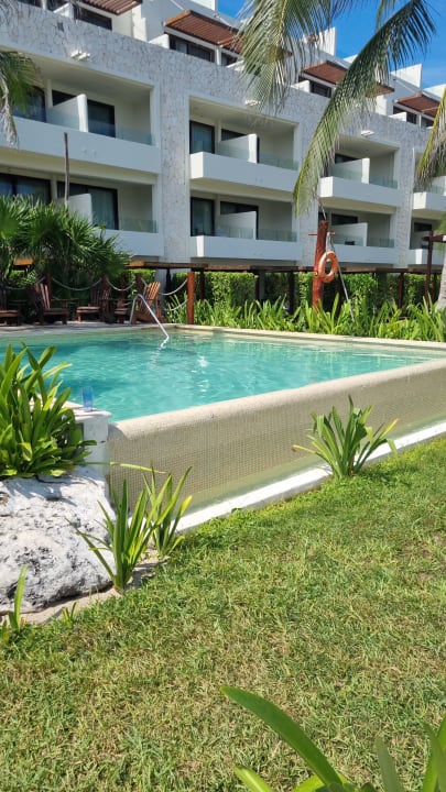 Pool Akumal Bay Beach & Wellness Resort