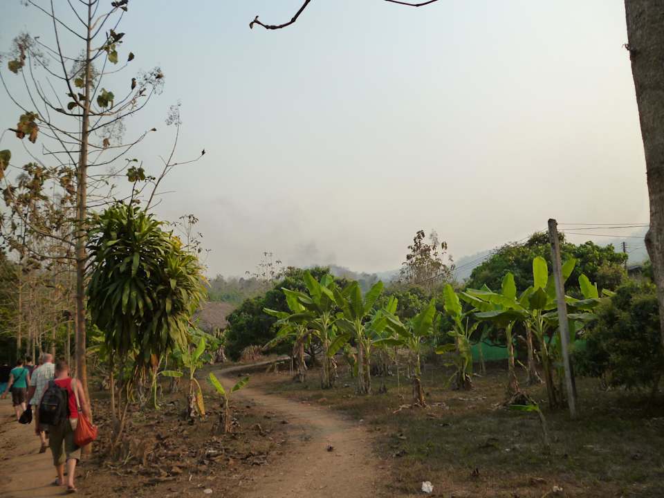 Fußweg zur Anlage Hotel Lisu Lodge