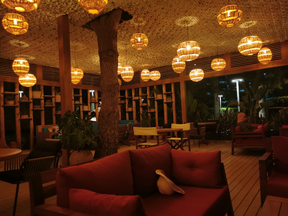 Gastro Arum Barut Collection